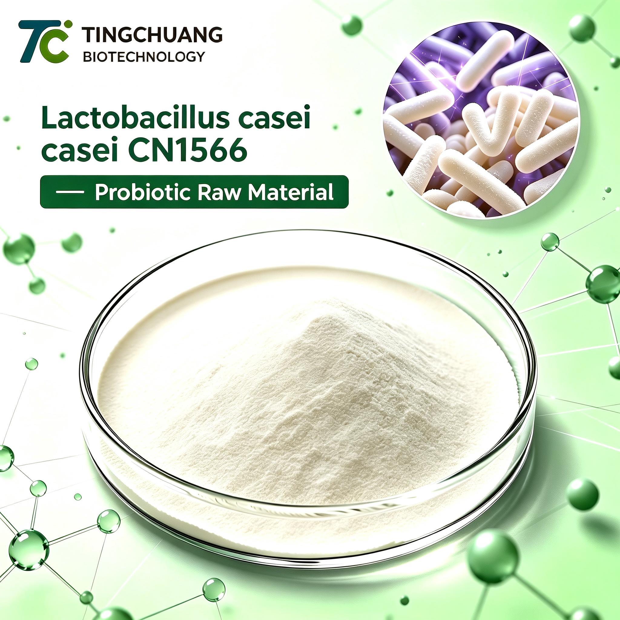 Lactobacillus caseicasei CN1566 --Probiotic Raw Material